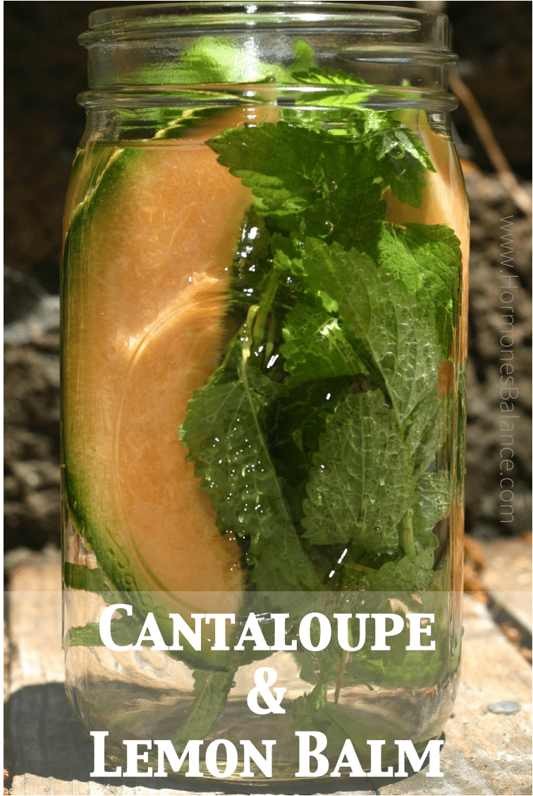 CantaloupeWaterInfusion