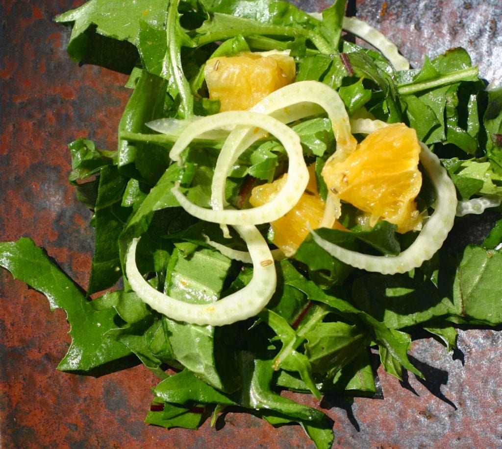 DandelionOrangeSalad2