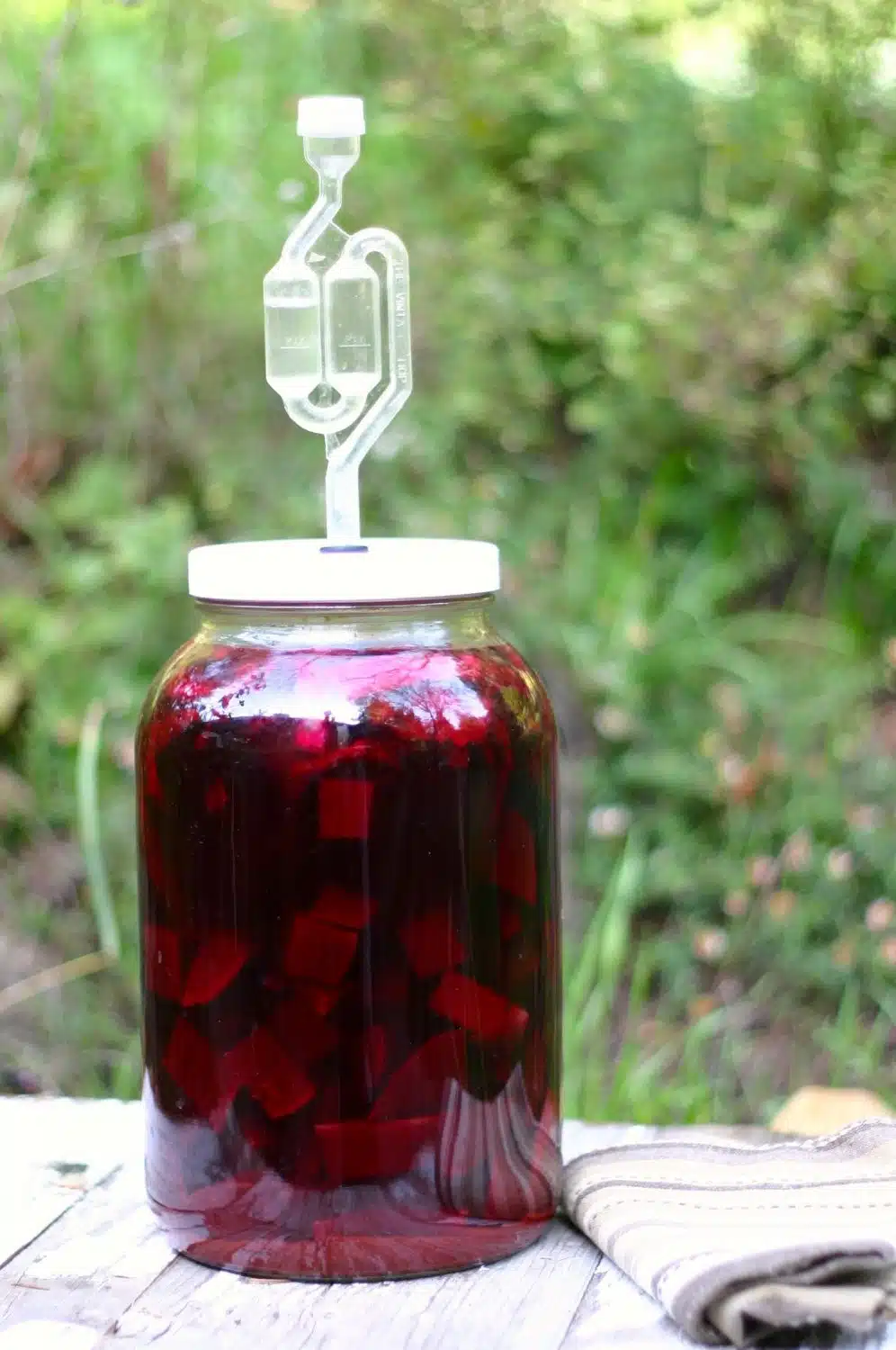 Kvass - Probiotic Beet Tonic - HormonesBalance.com