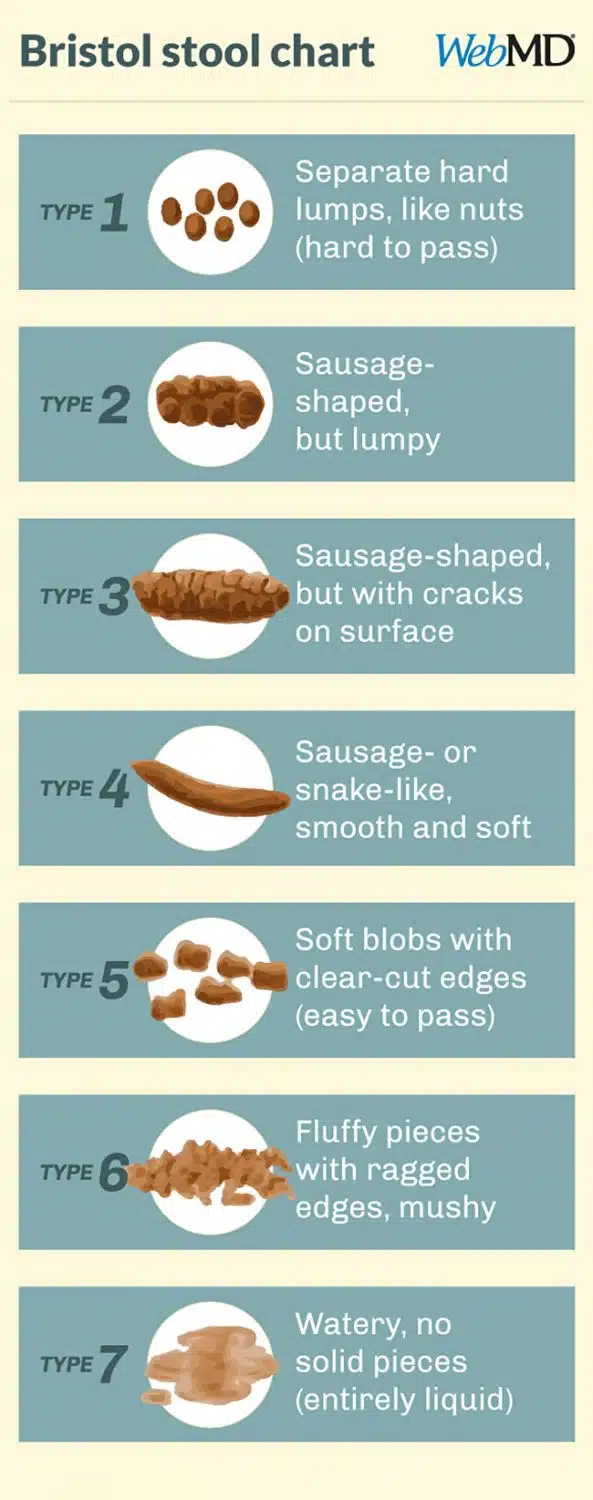 Bristol Stool Chart//source: WebMD