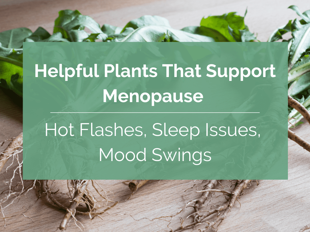 Helpful Plants That Support Menopause (Hot Flashes, Sleep Issues, Mood