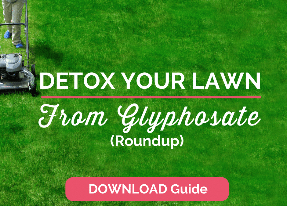 How to Detox Your Lawn from Glyphosate (Roundup) and Talk to Your HOA