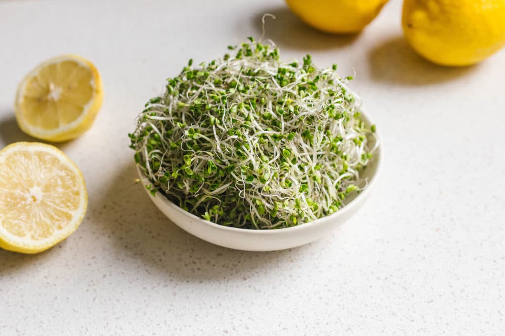 Broccoli Sprout Shot HormoneBalancing Recipe
