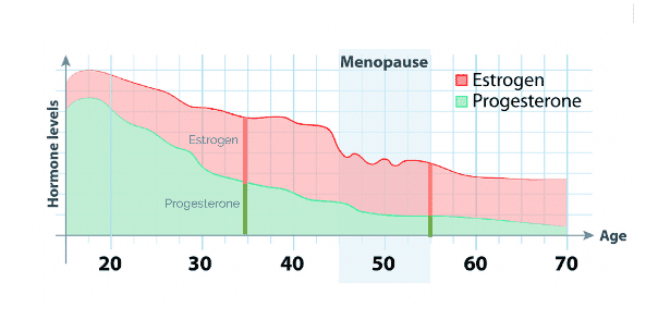 Whole Roots Health - The Luteal phase is the stage of a woman's cycle  beginning at the time of ovulation and ending either when the menses begins  or with pregnancy. The luteal