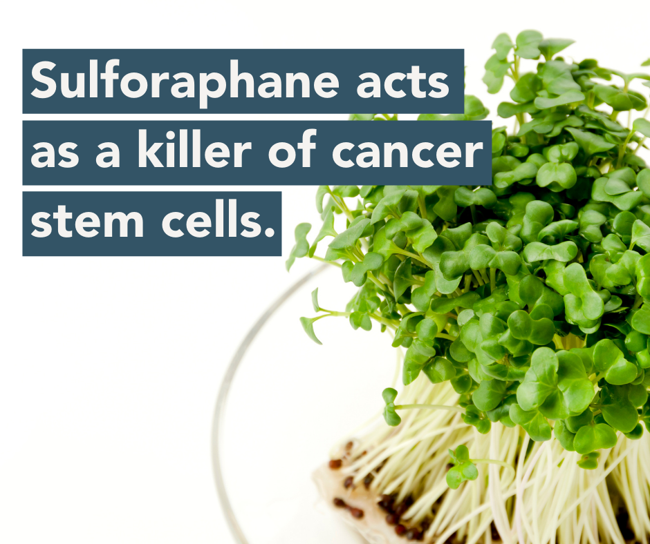 Sulforaphane acts as a killer of cancer stem cells.