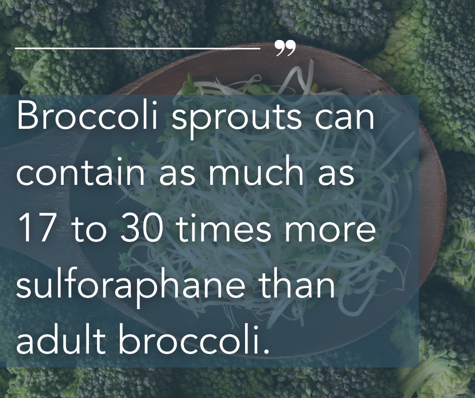 Broccoli sprouts can contain as much as 17 to 30 times more sulforaphane than adult broccoli.