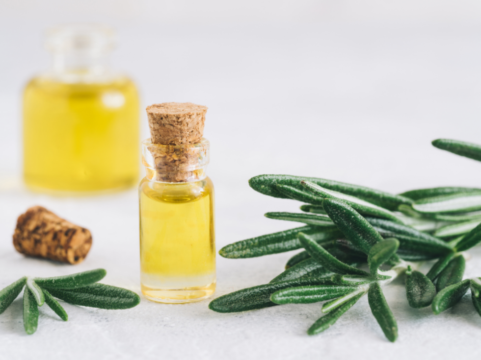 Rosemary Hair Regrowth Oil