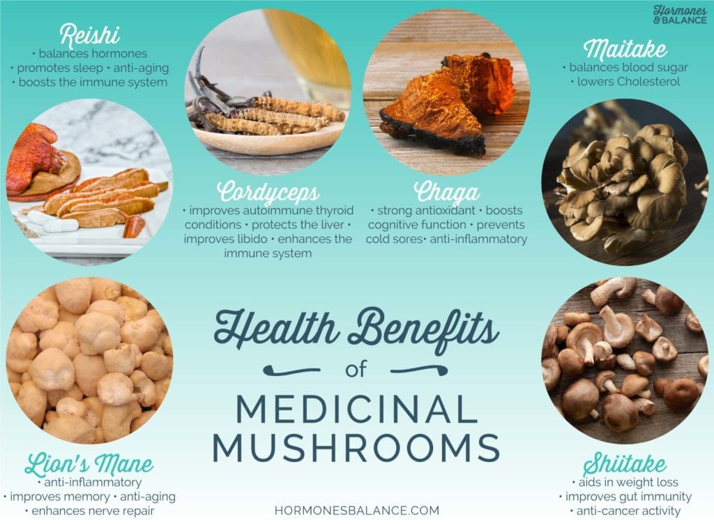 How Medicinal Mushrooms Can Support Immune System, Energy & More