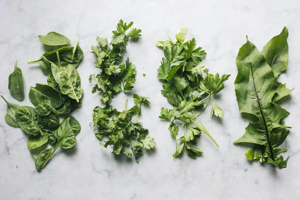 image of culinary herbs