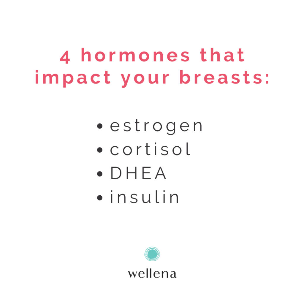 4 hormones that impact your breasts: