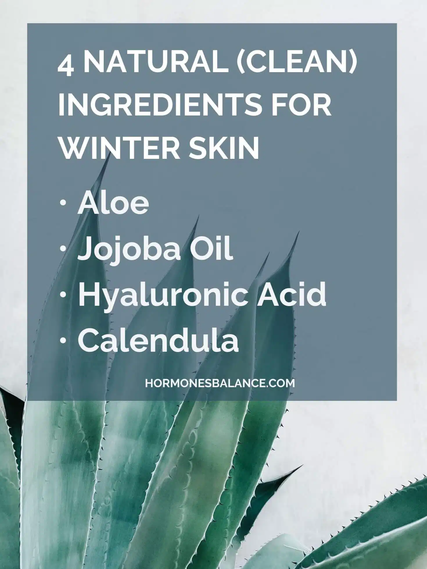 Today I am going to share with you some of my favorite natural ingredients I keep stocked on my top shelf to protect myself from the blustering mountain winds and snow. These ingredients combat environmental stressors and keep skin rejuvenated and healthy by incorporating deeply nourishing herbs and natural ingredients in your skin care routine. 