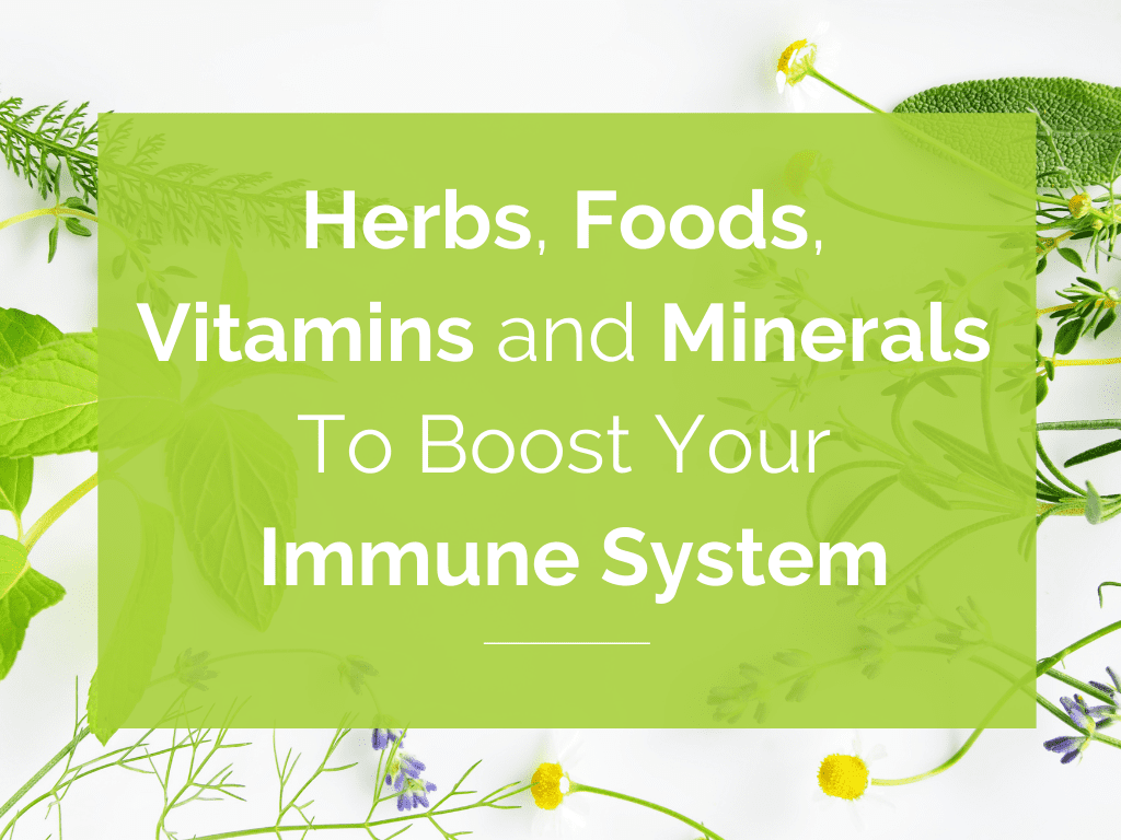 Herbs, Foods, Vitamins and Minerals To Boost Your Immune System