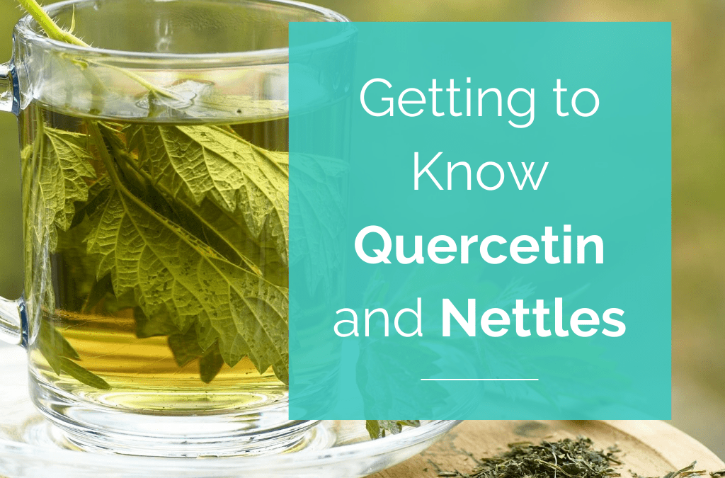 Getting to Know Quercetin and Nettles
