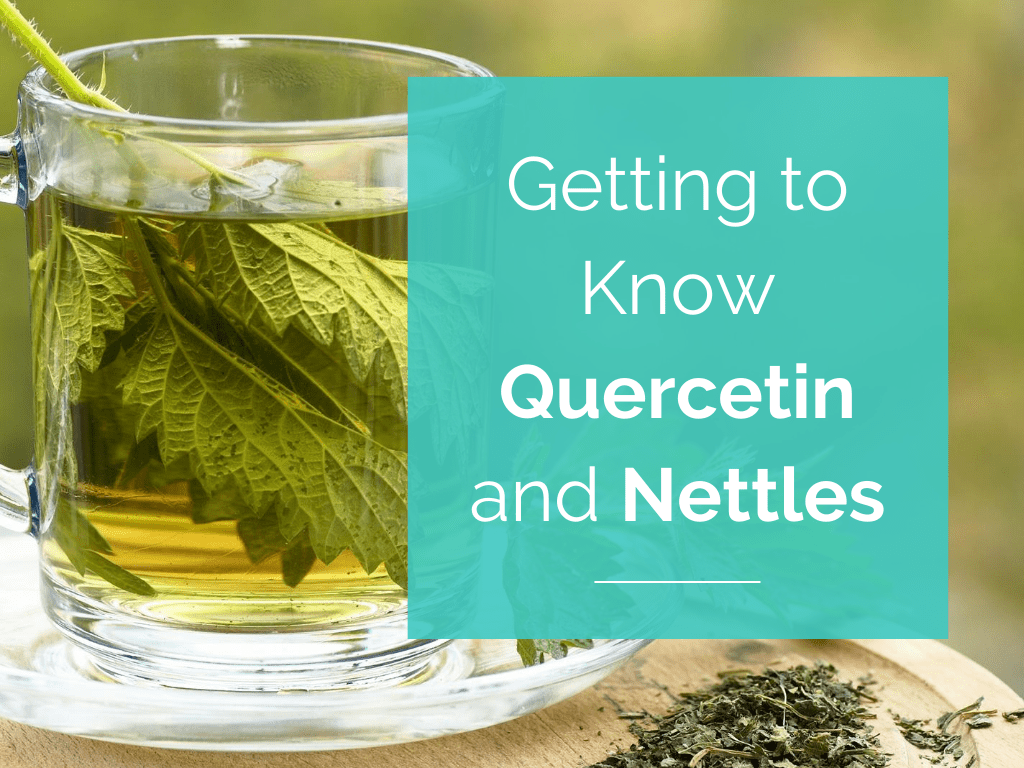 Getting to Know Quercetin and Nettles