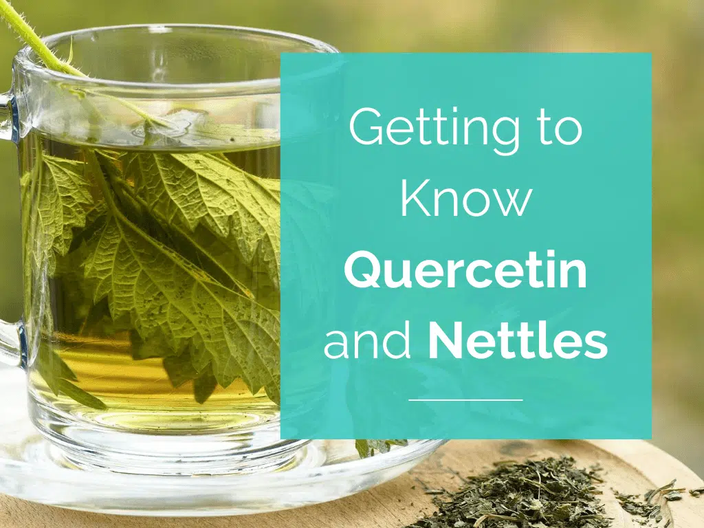 Getting to Know Quercetin and Nettles Getting to Know Quercetin and Nettles
