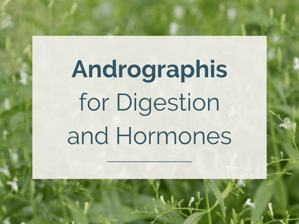 Andrographis for Digestion and Hormones