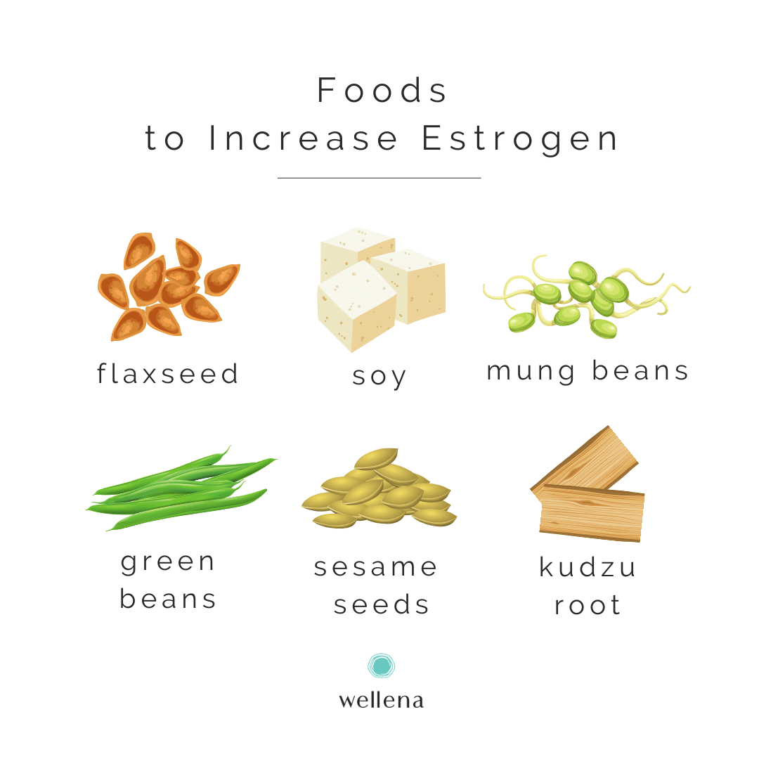 Foods To Increase Estrogen