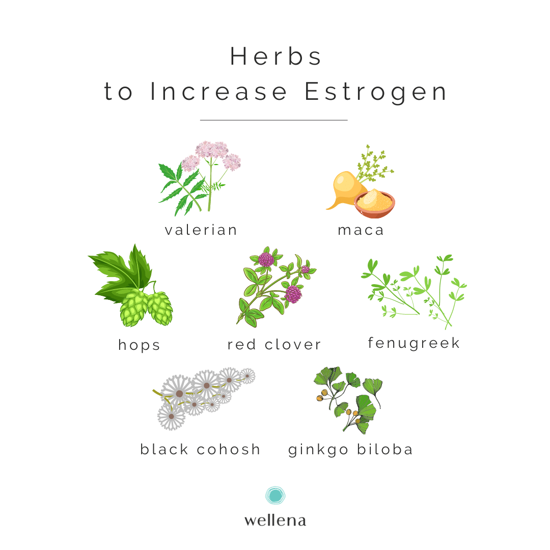 How to Use Foods and Herbs to Boost Estrogen (for Women in Peri and