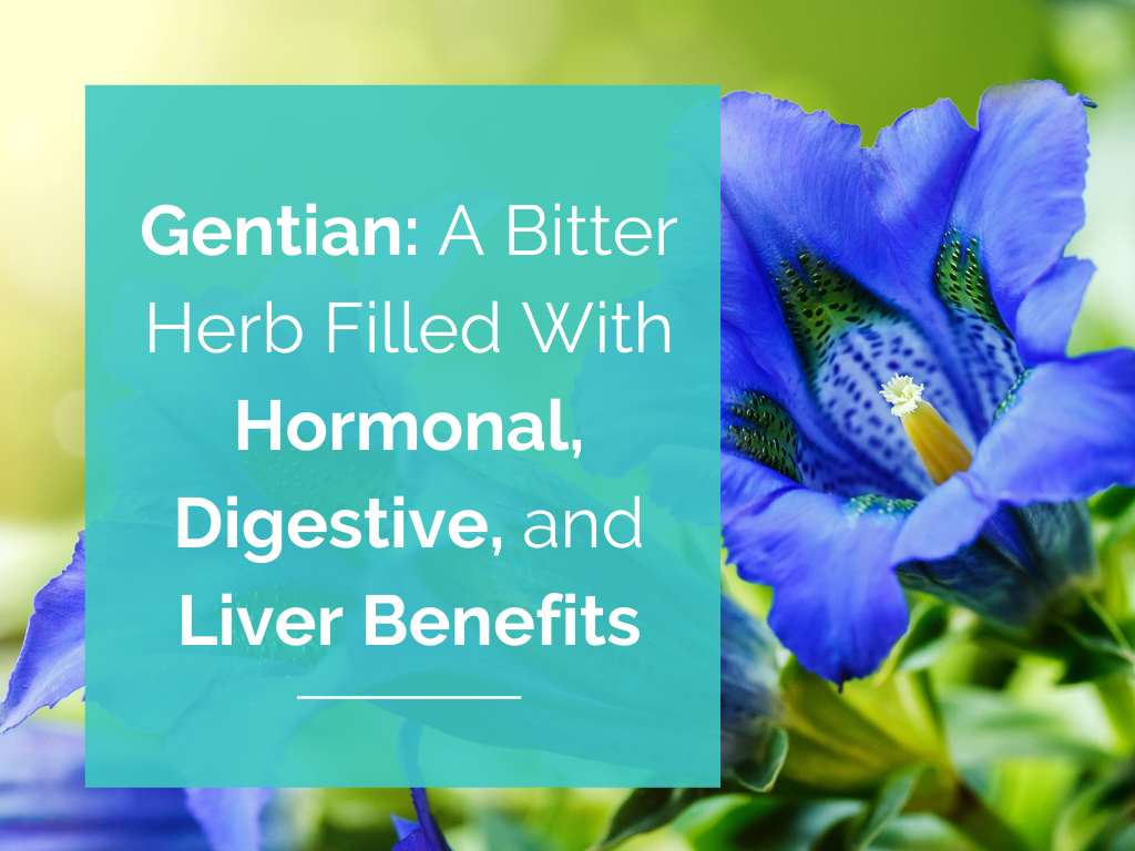 Gentian: A Bitter Herb Filled With Hormonal, Digestive, and Liver Benefits