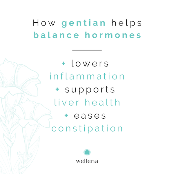How Gentian Helps Balance Hormones