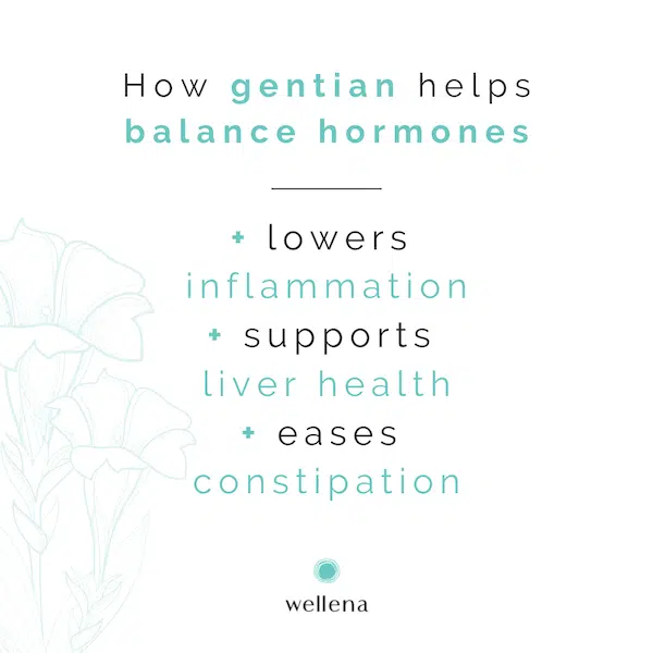 How Gentian Helps Balance Hormones