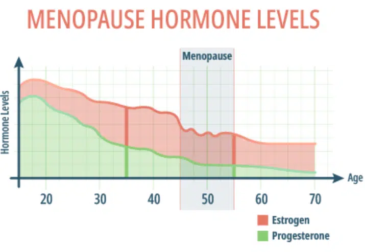 Estrogen and Progesterone In Menopause Chart