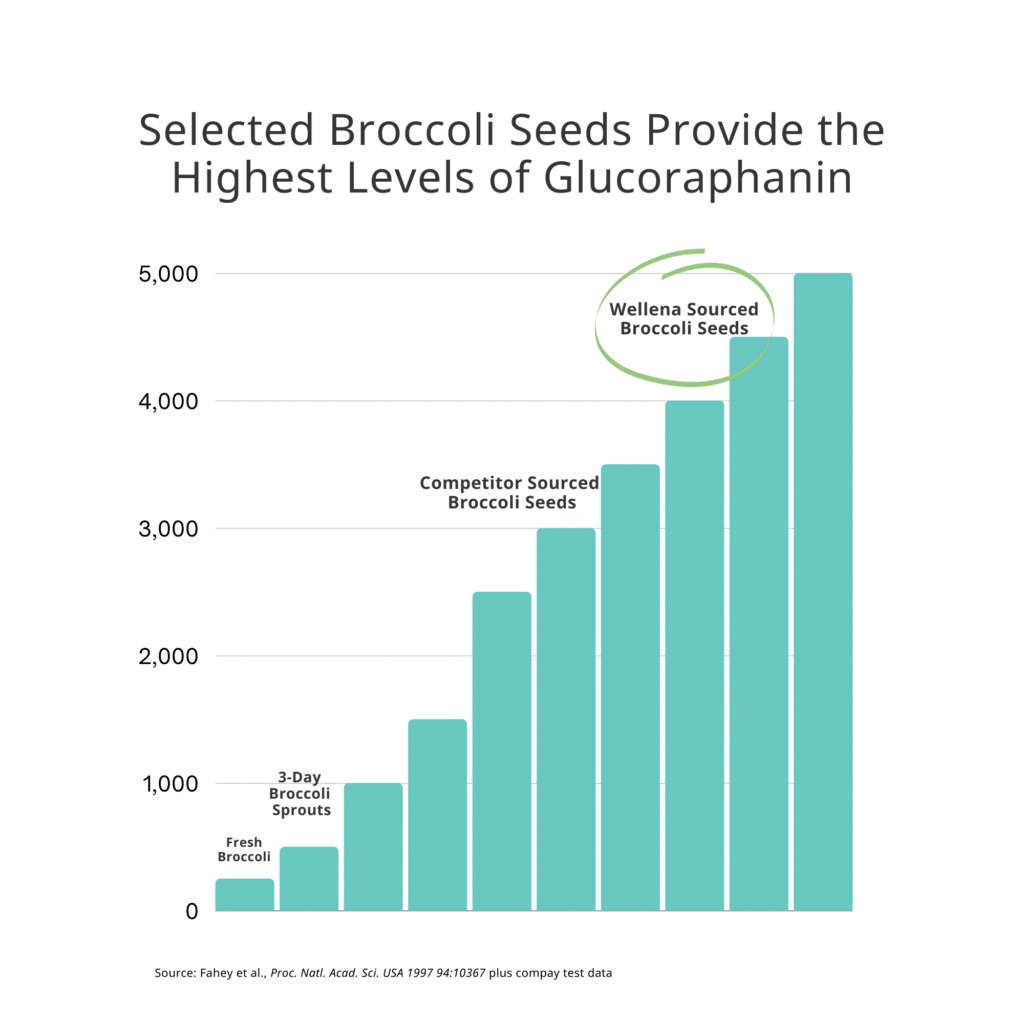 Broccoli Seed Graph