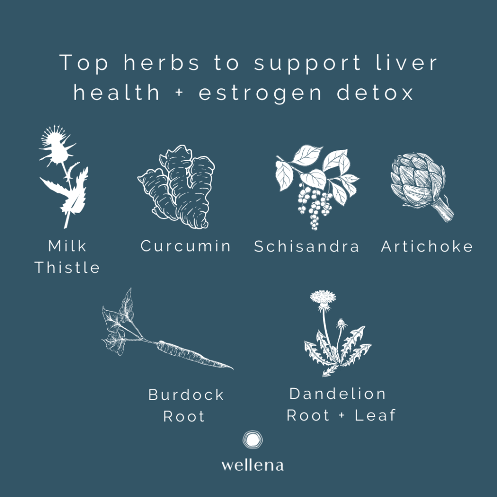 Top Herbs to Support Liver Health & Estrogen Detox