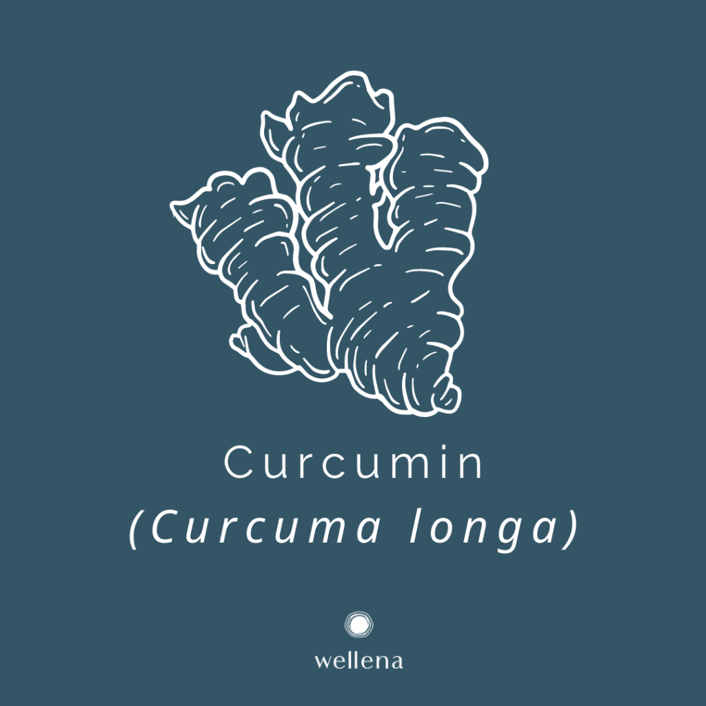 Curcumin For Liver Detox