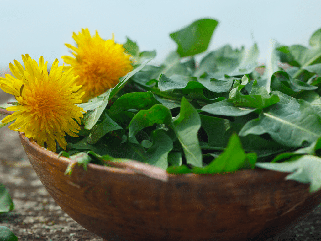 More Than Just A Weed: How to Use Dandelion For Detox and Hormones ...