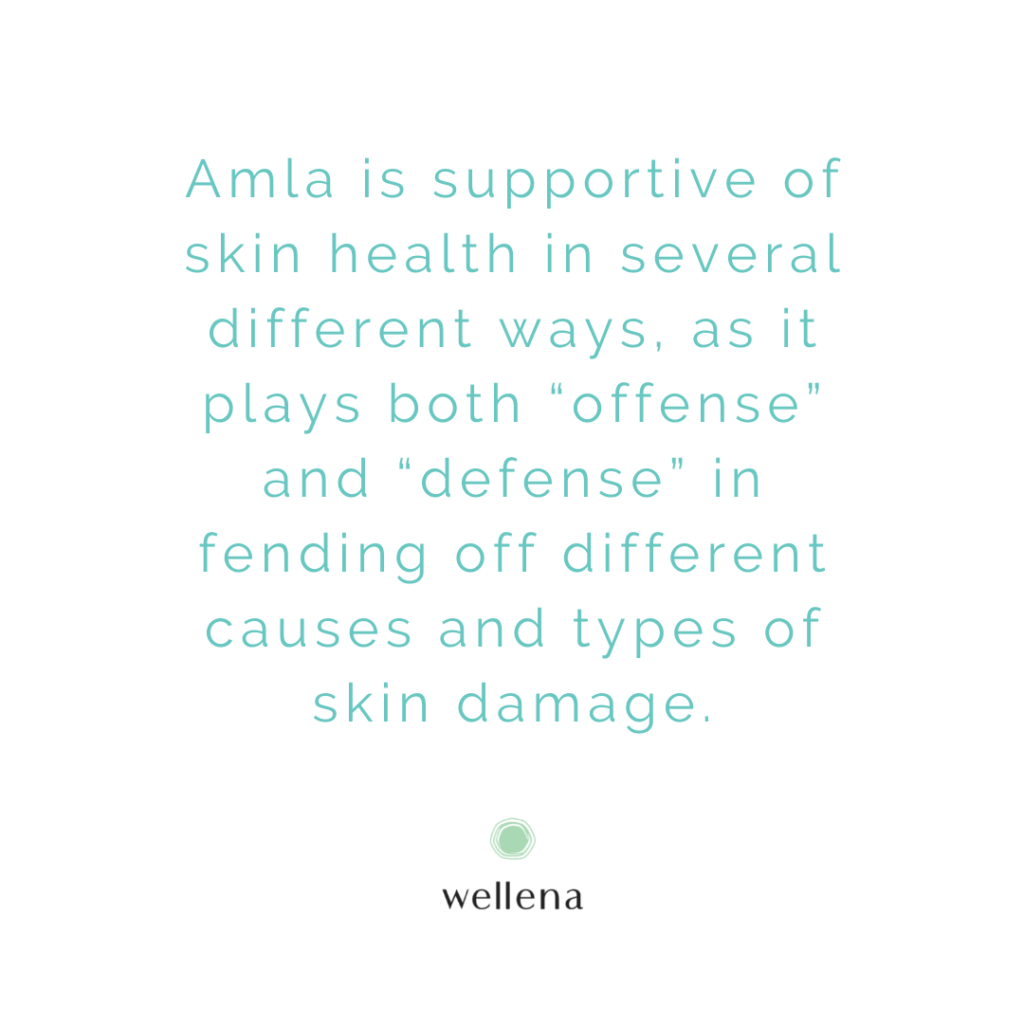 Amla is supportive of skin health in several different ways, as it plays both “offense” and “defense” in fending off different causes and types of skin damage.