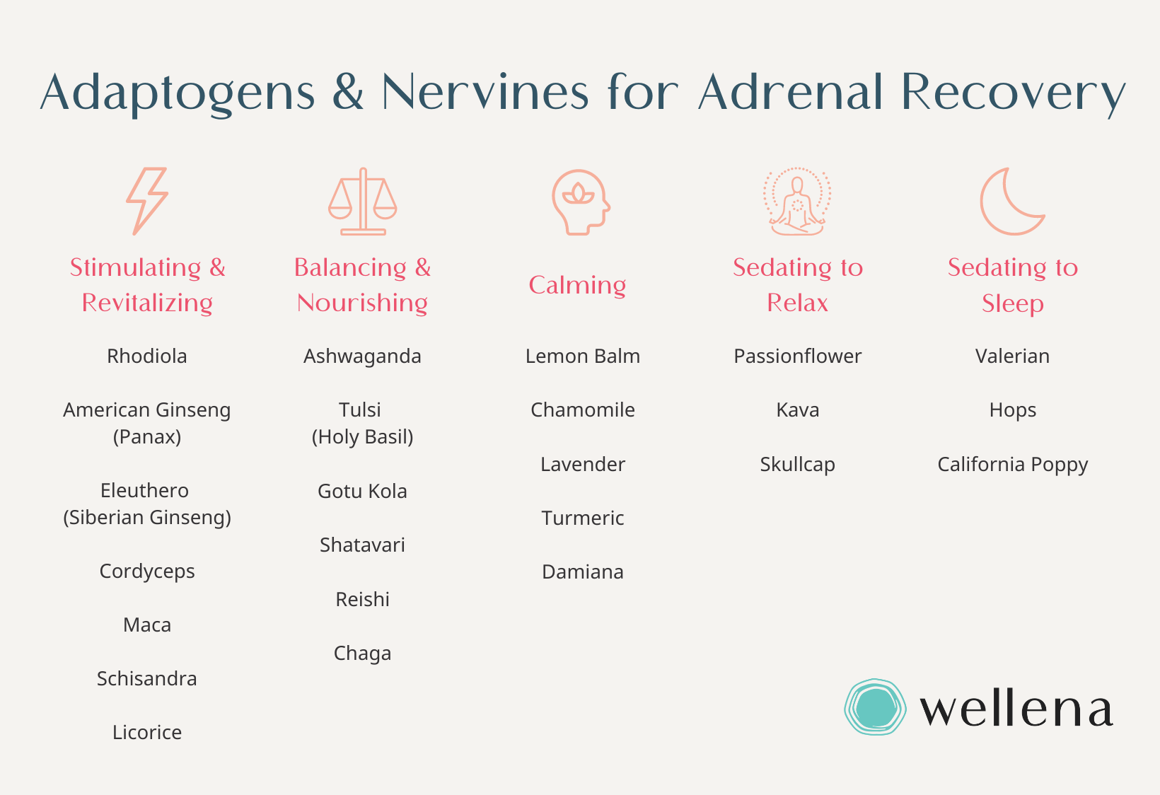 Adaptogens for Adrenal Recovery