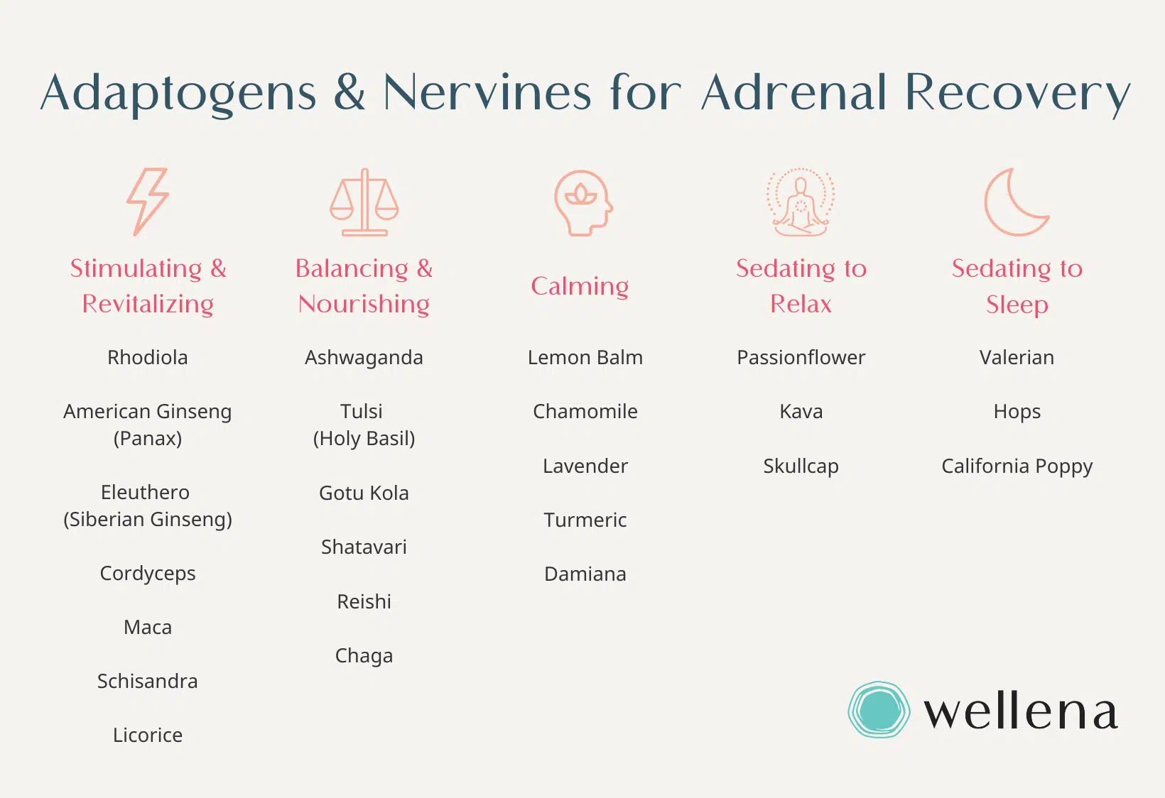 Adaptogens for Adrenal Recovery