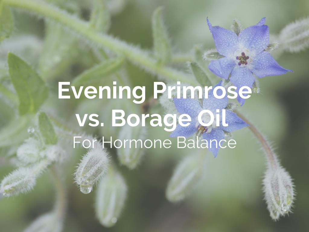 Evening Primrose vs. Borage Oil For Hormone Balance 