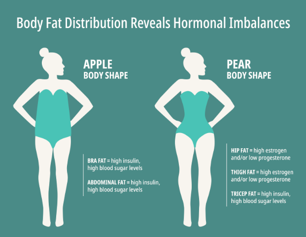 Fat distribution and hormone imbalance