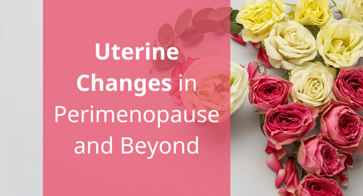 4 Uterine Changes in Perimenopause and Beyond