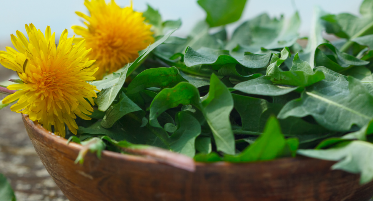 More Than Just A Weed: How to Use Dandelion For Detox and Hormones