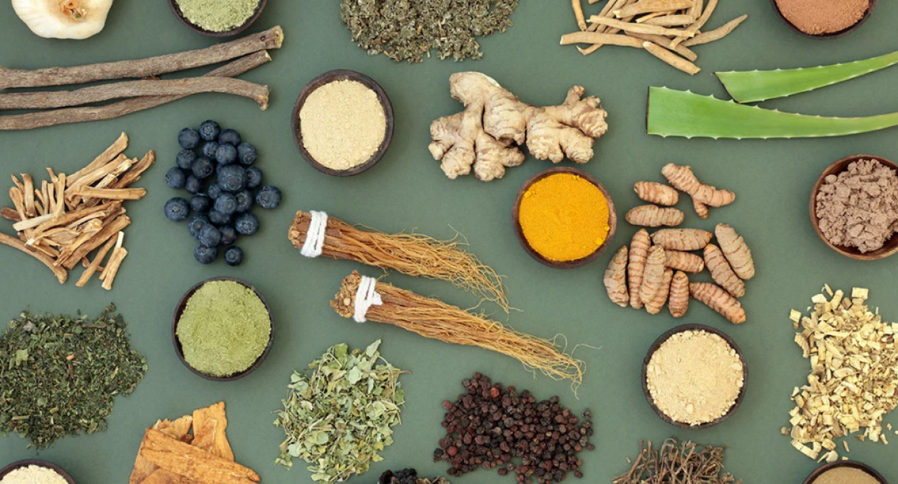 Adaptogens: What They Are And How They Can Support Hormone Balance