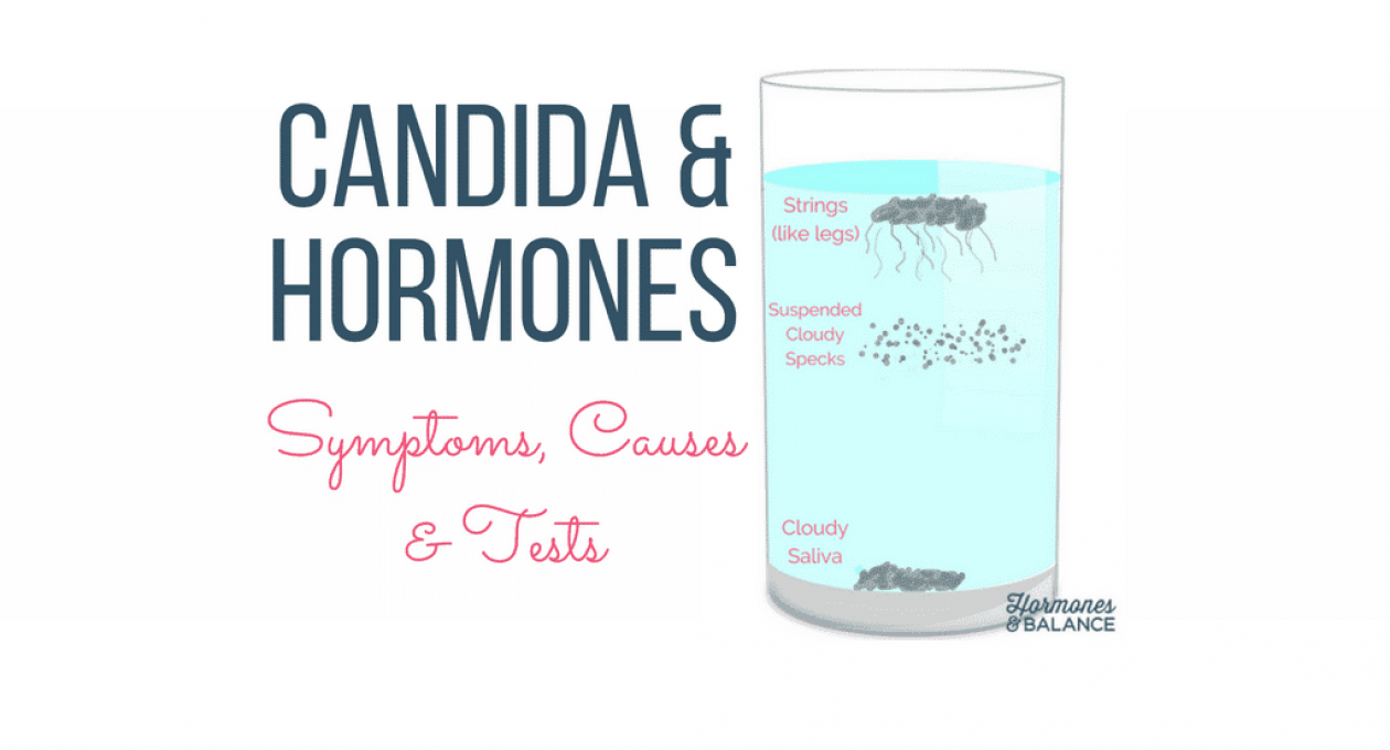 How Candida Yeast Overgrowth Creates a Hormonal Havoc | Part 1: Surprising Symptoms, Causes and Tests