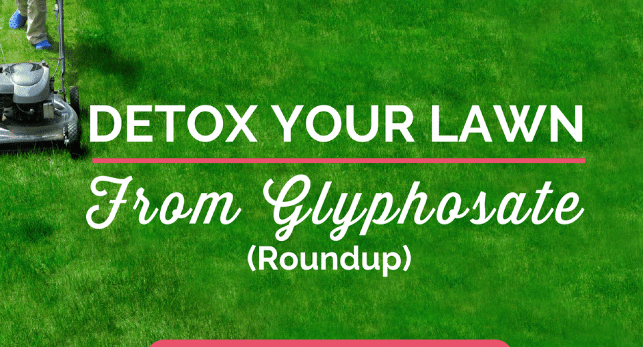 How to Detox Your Lawn from Glyphosate (Roundup) and Talk to Your HOA