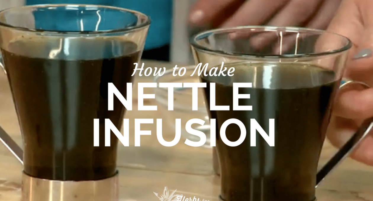 Nettle Infusion